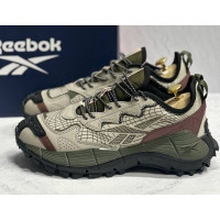 Reebok Zig Kinetica 2 Edge Gore Tex Winter Cream Olive