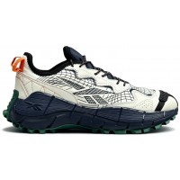 Кроссовки зимние Reebok Zig Kinetica 2 Edge Gore Tex белые с черным