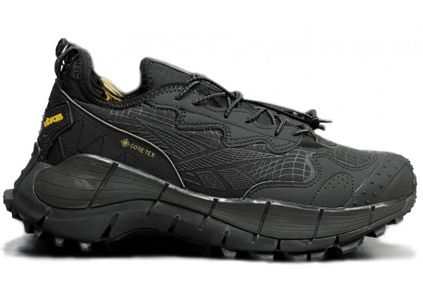 Reebok Zig Kinetica 2 Edge Gore Tex Winter Black